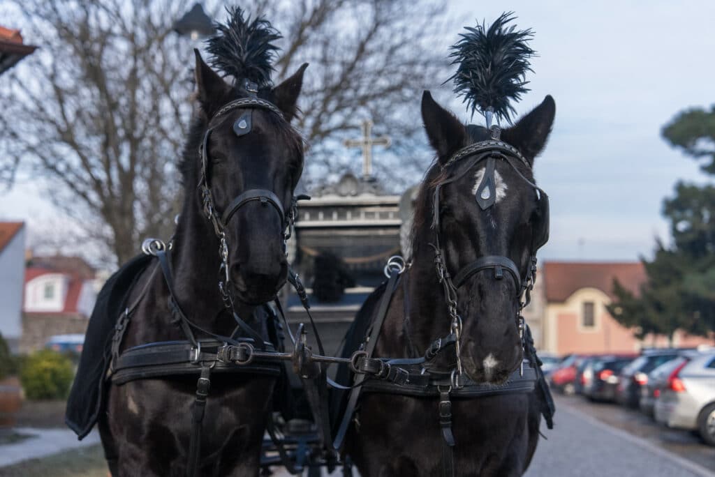 Pohřební služba navrátil – pohrbynavratil.cz